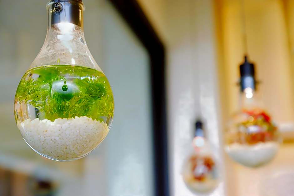 Green Hotel - West District