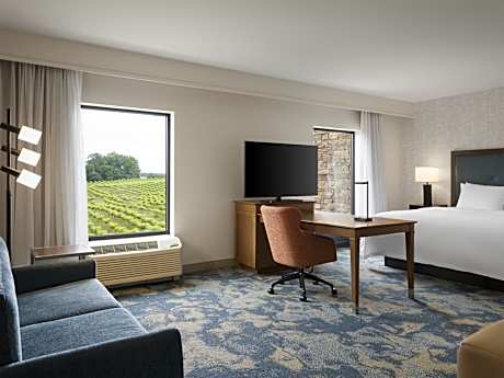 King Studio Suite with View - Non-Smoking