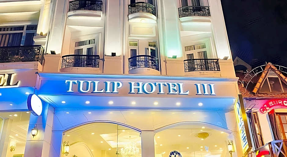 Tulip Hotel 3