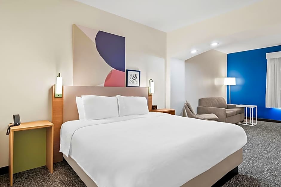 Spark by Hilton Kingsland