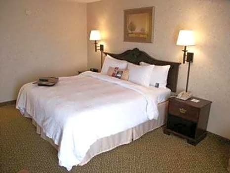 Hampton Inn Dublin