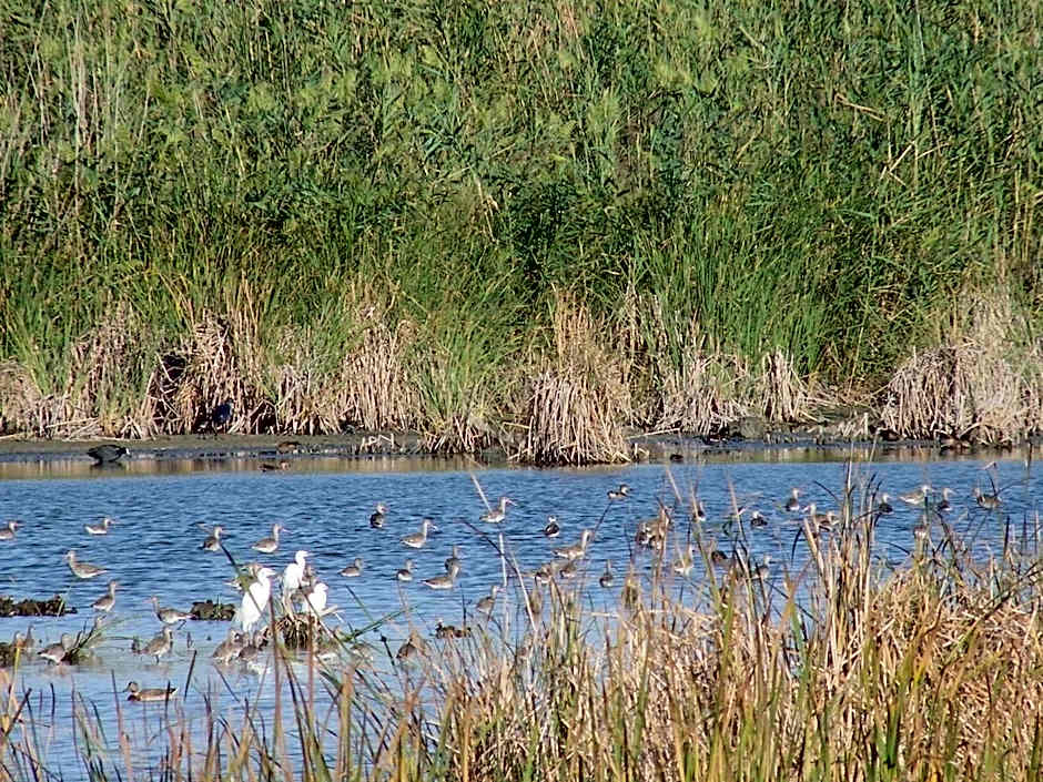 Alberg Deltebre Xanascat