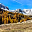 Bed and Breakfast Les Airelles