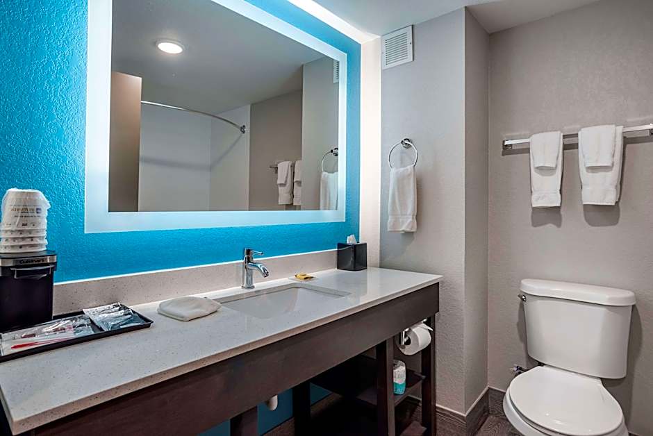 Photo 1 of 6 of 1 King Bed, Mobility Accessible, Roll in Shower