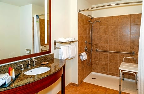 Accessible - Suite King Bed  Mobility Accessible Roll In Shower Fireplace Balcony Non-Smoking Full B