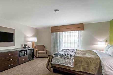 King Suite with Sofa Bed