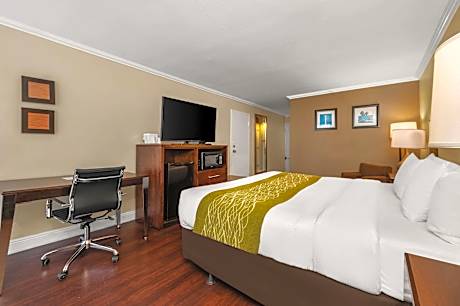 1 King Bed, Ocean View, Nonsmoking