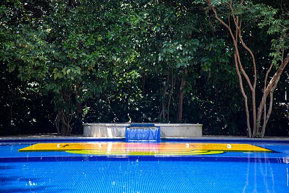 Hotel La Casa de los Árboles Immersive Experience