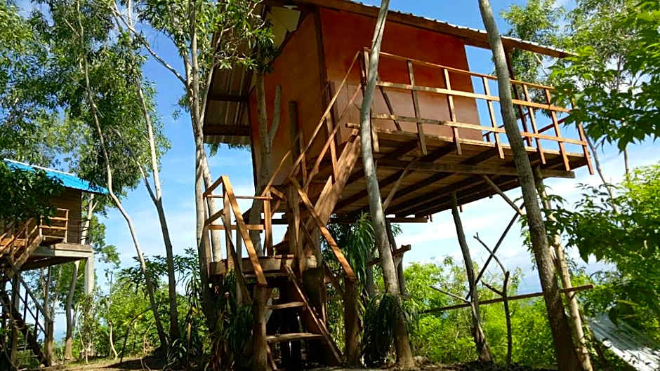 Rumah Pohon