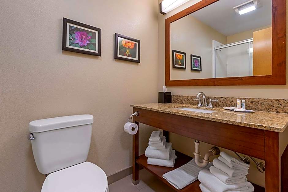 Comfort Suites Boone - University Area