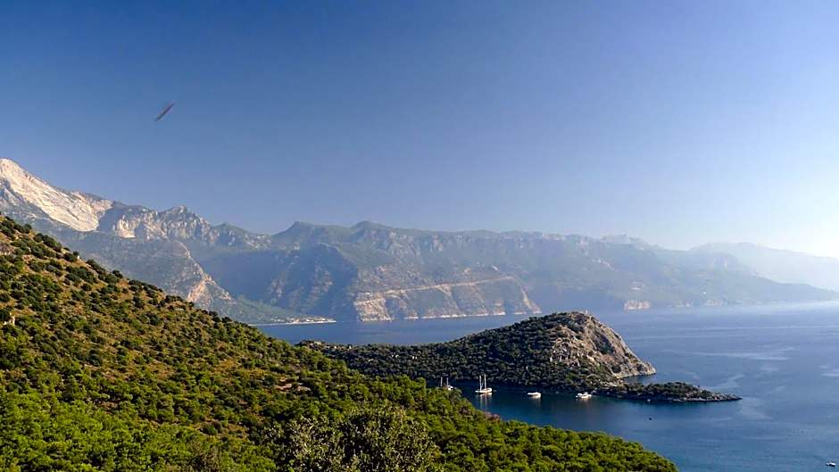 Kabak Avalon Bungalows