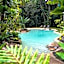 Ferntree Rainforest Lodge