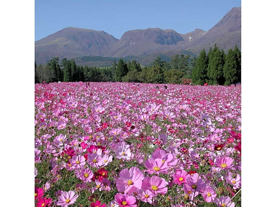 Resonate Club Shape - Vacation STAY 60135v