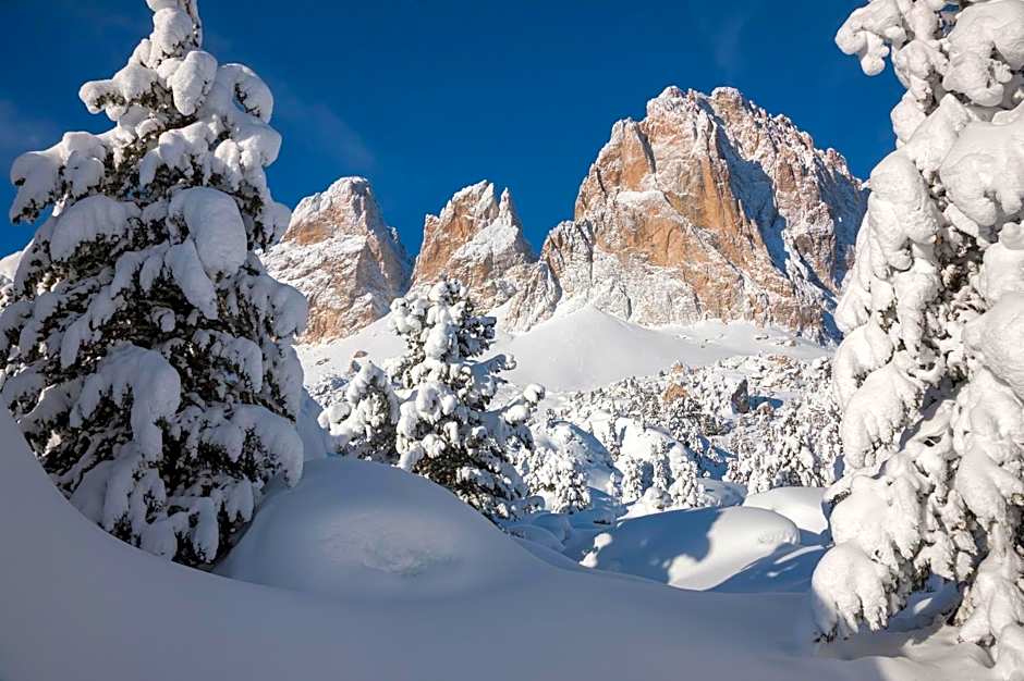 Hotel Chalet Sas Morin