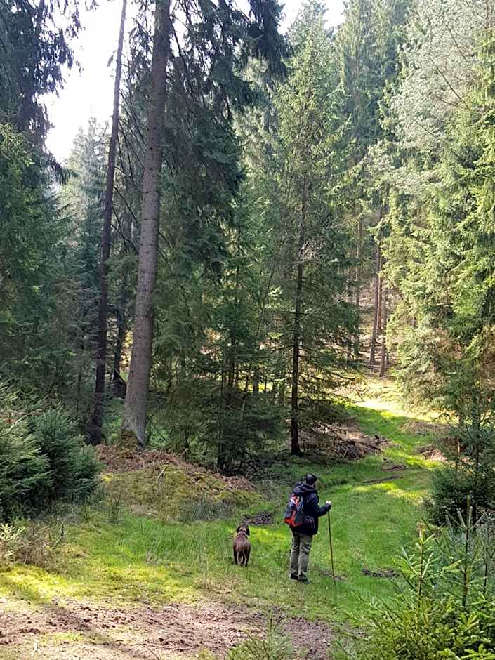 Thüringer Landhotel Edelhof