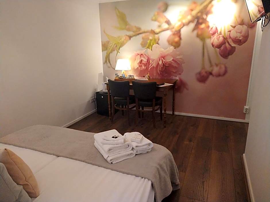 B&B-Hotel de Joremeinshoeve