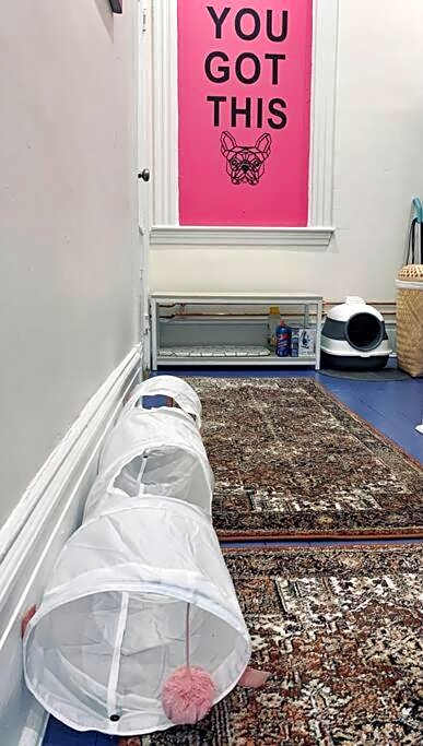 Pet-Friendly Space #3 at Doggy Digs, King Bed and Office