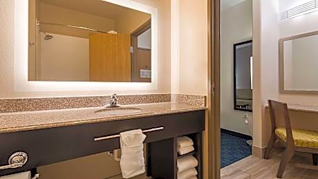 Mini Suite-1 King Bed