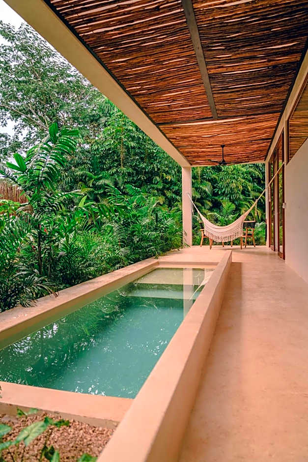 Destino Mio Mayan Jungle Retreat