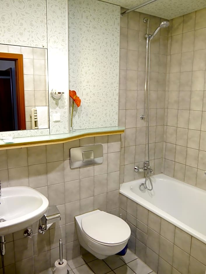 Stadthotel am Wasen