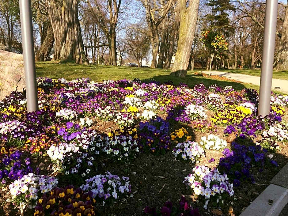 Hotel Krone Rüdesheim