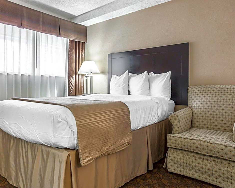 Quality Inn & Suites Coliseum