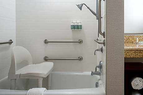 One-Bedroom King Suite