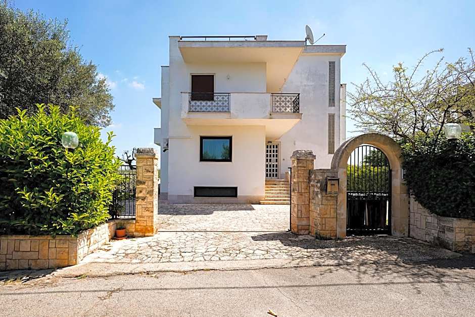 Villa Dragonfly by BarbarHouse