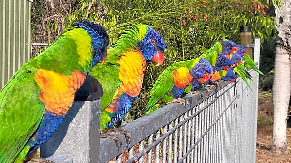 Magnetic Island Bed and Breakfast