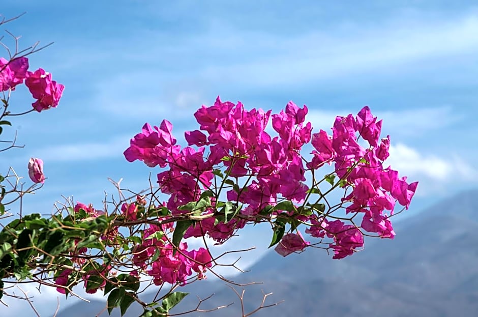 Pantelis Rooms Skopelos