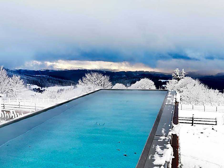 Wellness hotel V Nebi