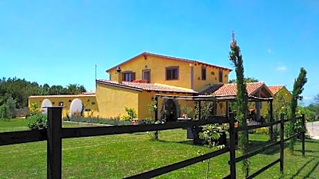 Il Cardoncello