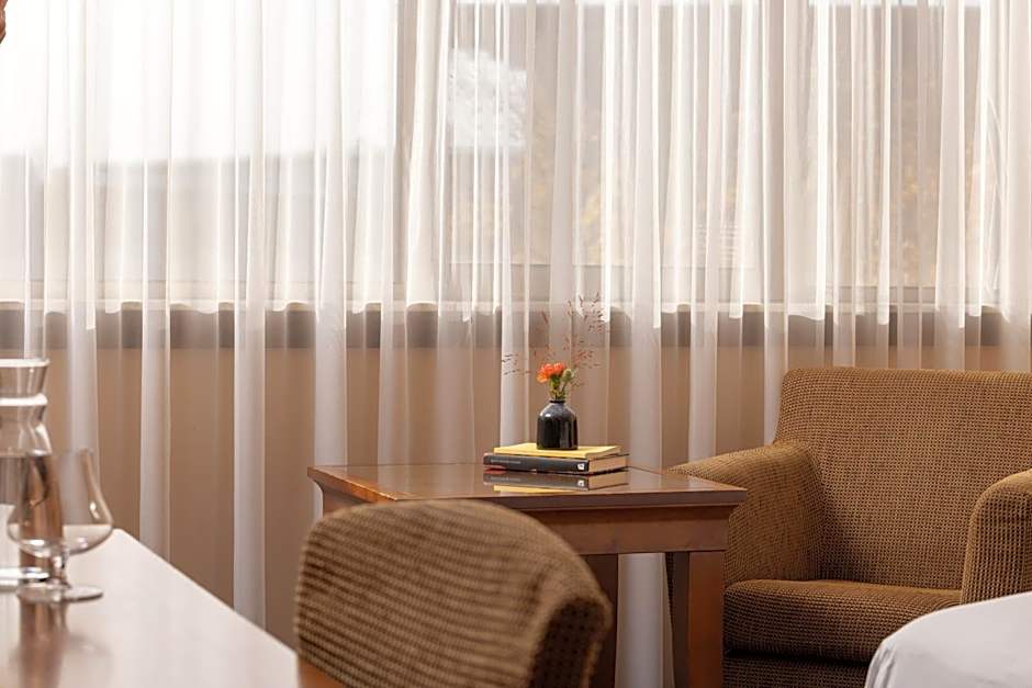 Hilton Strasbourg