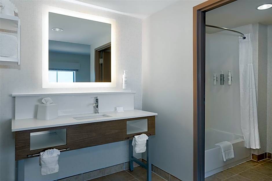 Hampton Inn By Hilton & Suites Dallas-Arlington North-Entertainment Dist.