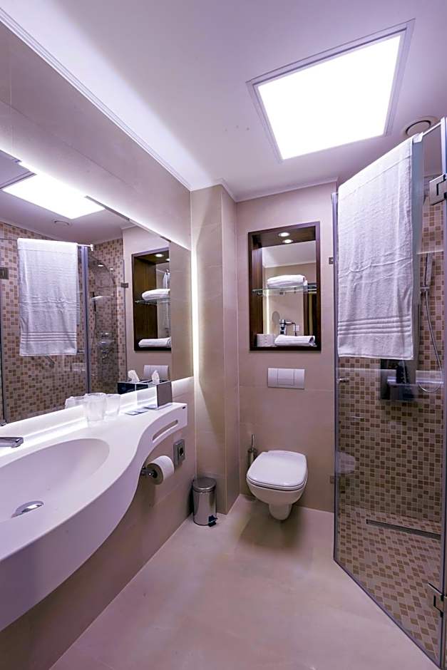 Hotel Transilvania