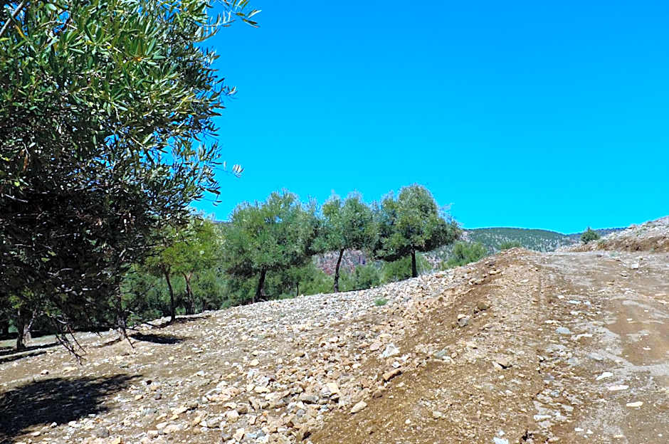 Riad Cascades d'Ouzoud