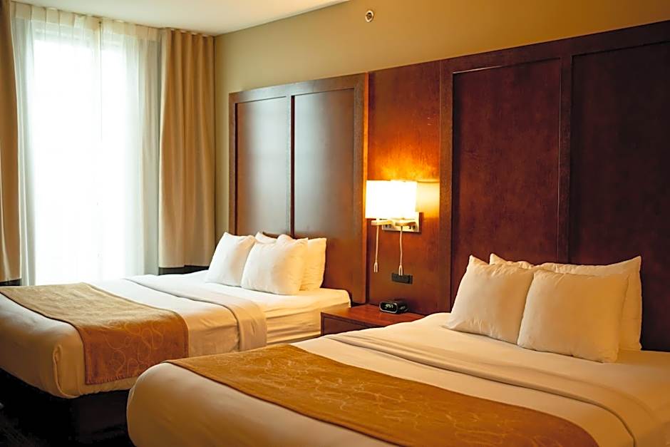 Comfort Suites University