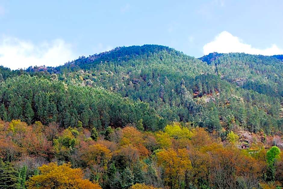 Hotel Carvalho Araujo