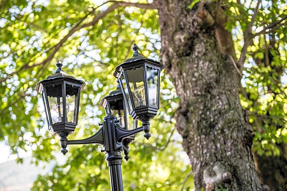 Luxury Lodge - Lener Express