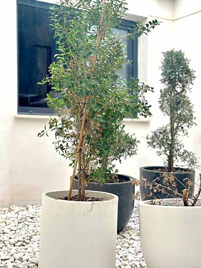 Innova Spaces Alicante