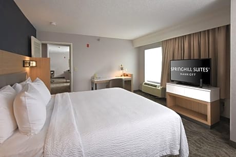 Two-room suite, 1 Bedroom Suite, 1 King, Sofa bed