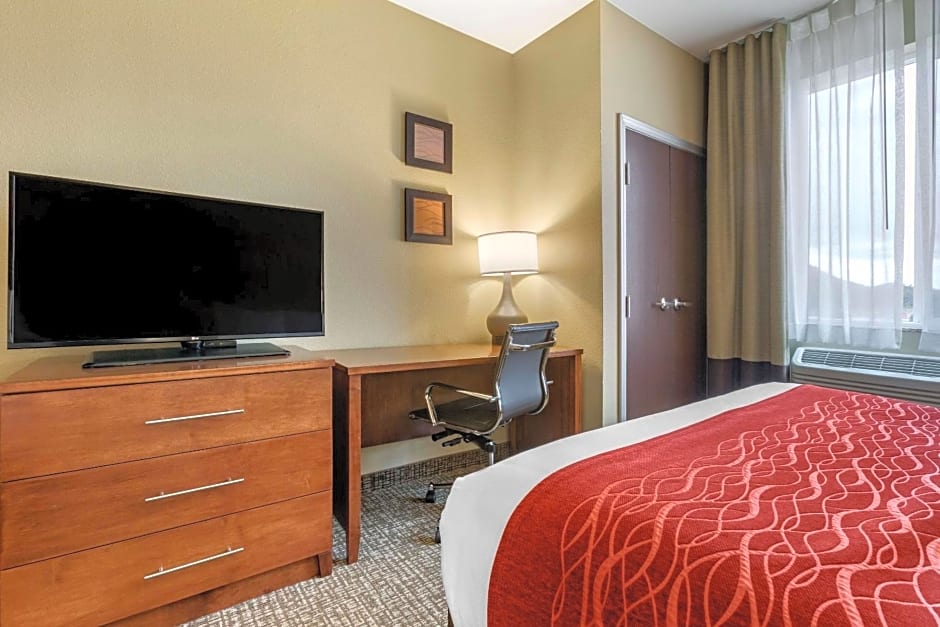 Comfort Inn & Suites Near Mt. Rushmore