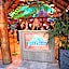 Dolphins Vacation Rental