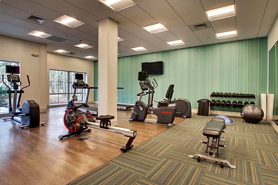 Holiday Inn Express & Suites Charleston NE Mt Pleasant US17 By IHG