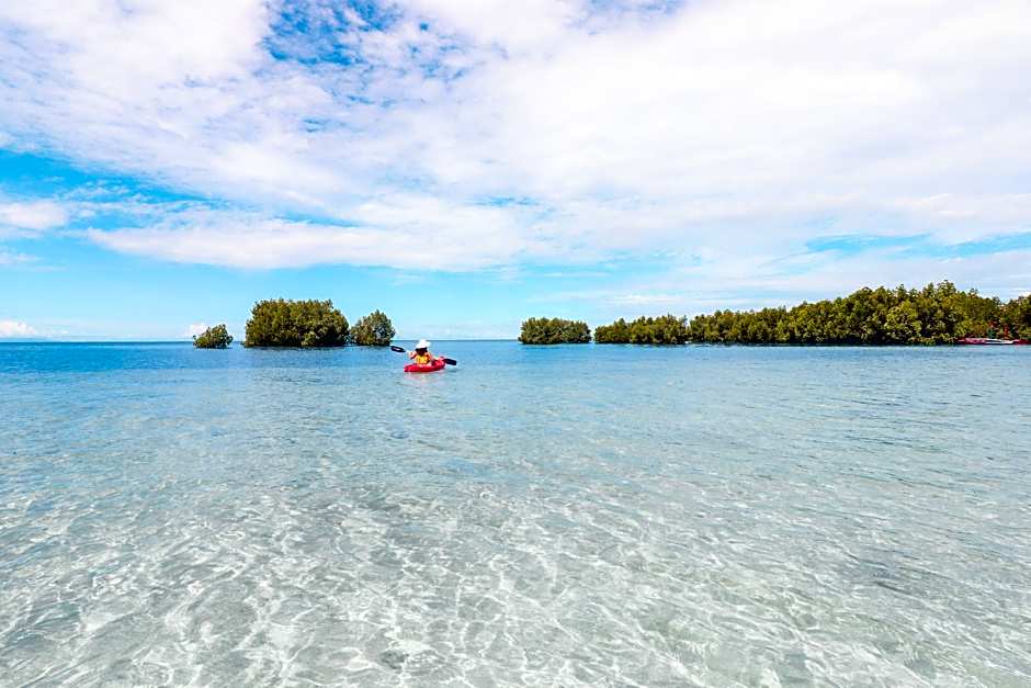 Funny Lion Puerto Princesa