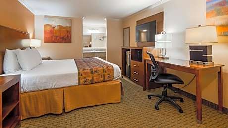1 King Bed Non-Smoking Microwave And Refrigerator Wi-Fi Full Breakfast