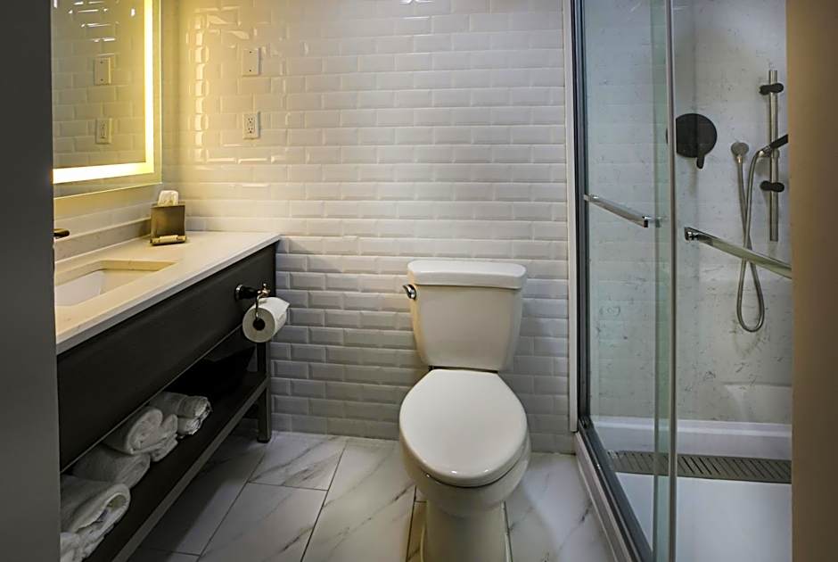 Hotel Indigo BIRMINGHAM FIVE POINTS S - UAB By IHG
