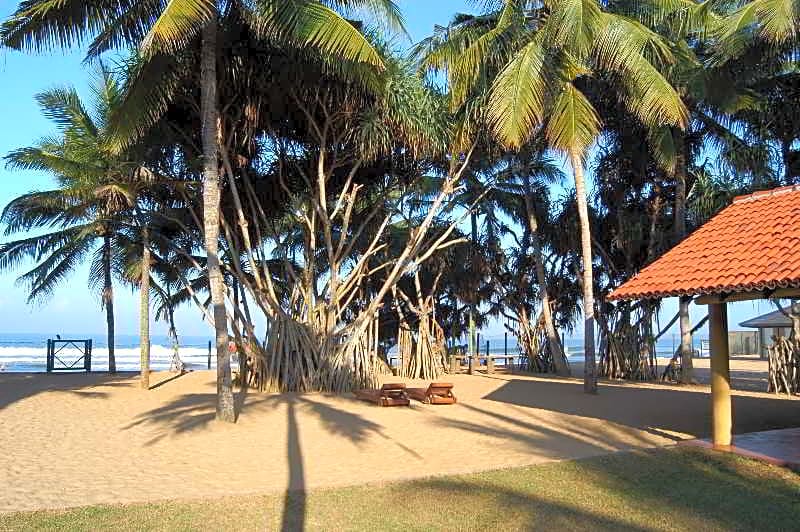 Hibiscus Beach Hotel Kalutara