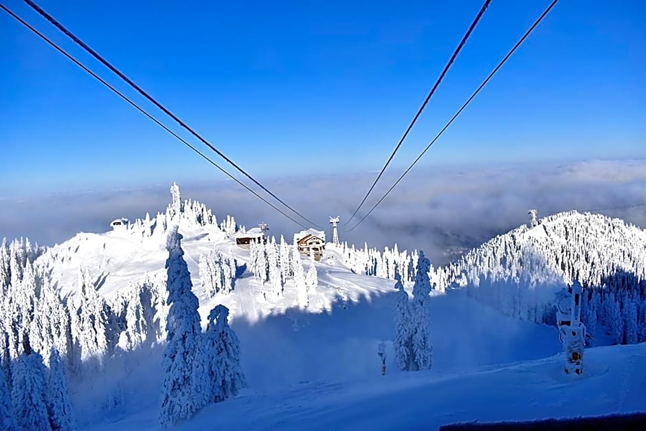 Apartament Alpin Poiana Brasov , etaj 8
