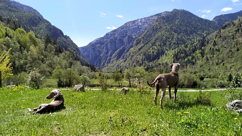 Eco-Baita Natura Spensierata